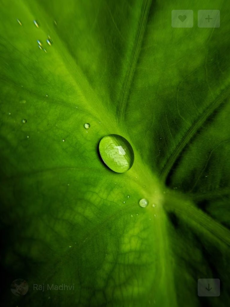 Seeing the Unseen The Value of Green Water GreenWorks Rhode Island